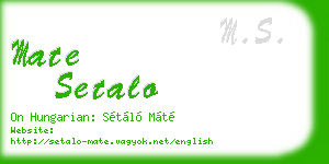 mate setalo business card