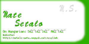mate setalo business card
